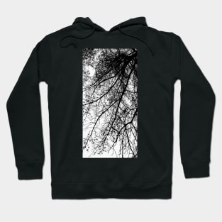 Under the Trees Cont'd Hoodie